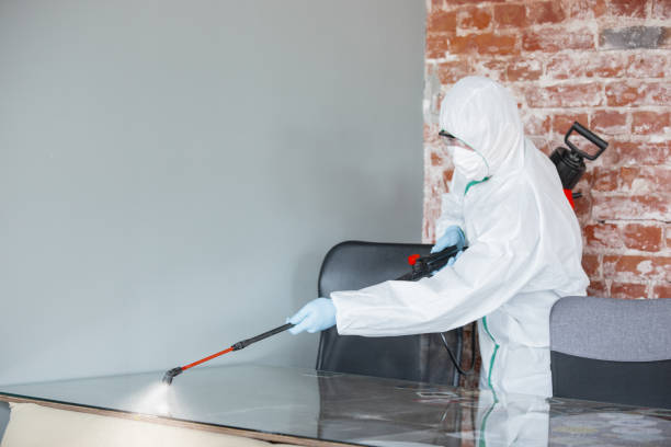 Best Real Estate Mold Inspection  in Hillcrest, NY